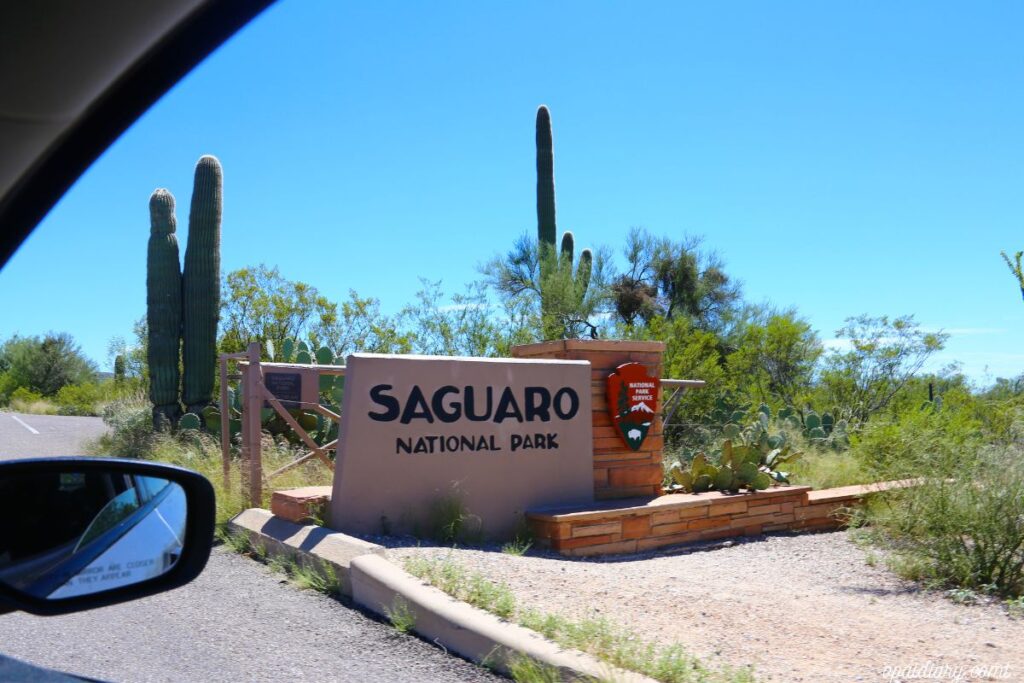 Saguaro National Park-1-2
